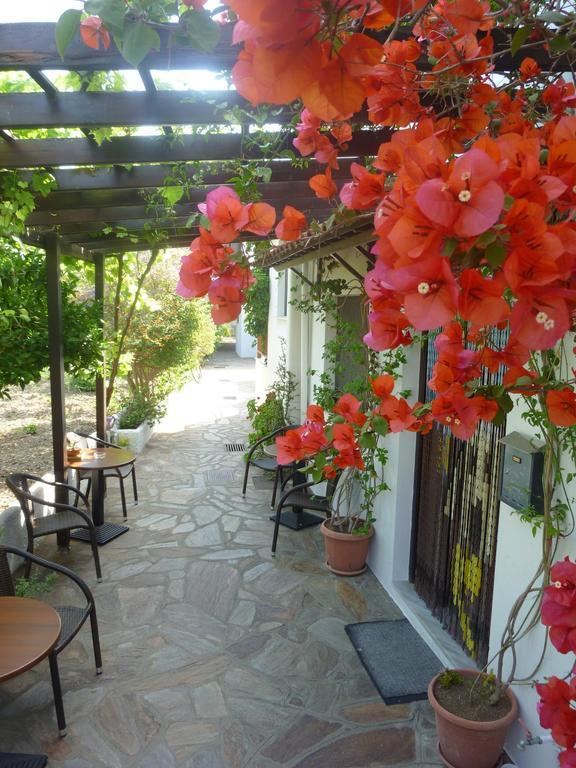 Golden Sun Hotel Kokkari Ngoại thất bức ảnh